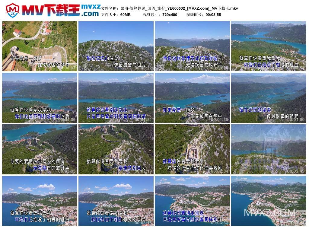 梁雨-就算你说_国语_流行_YE600502